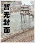 甲乙丙丁